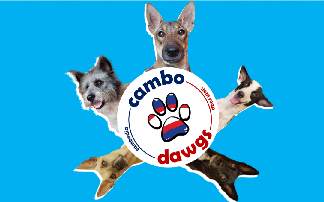 Cambo dogs